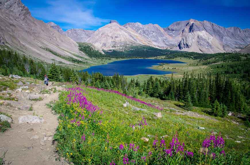 Baker Lake is off in the distance