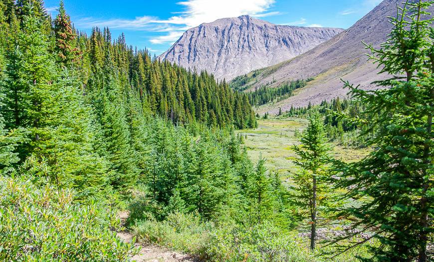 Hiking towards Jones Pass