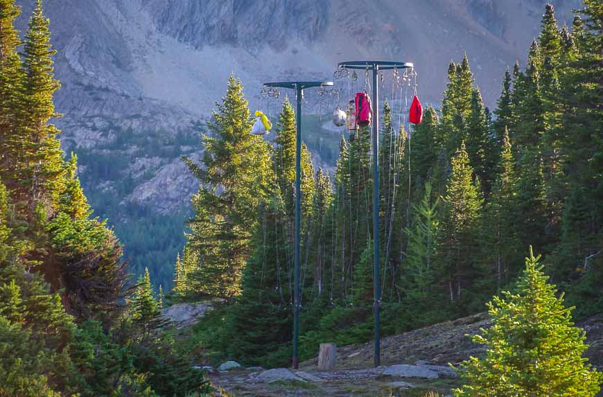 Poles for hanging your food are provided