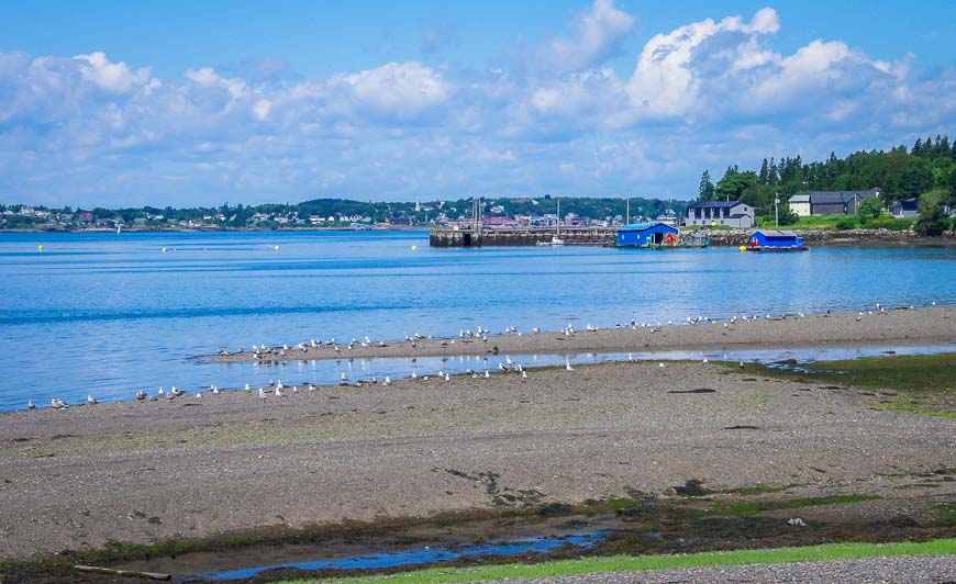 One of the beaches near the ferry on Campobello Island