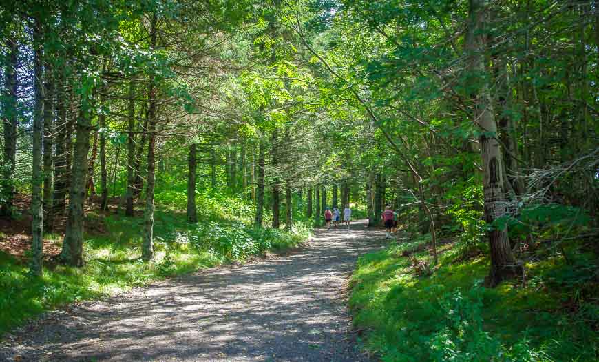 Lovely hiking trails in Roosevelt Campobello International Park