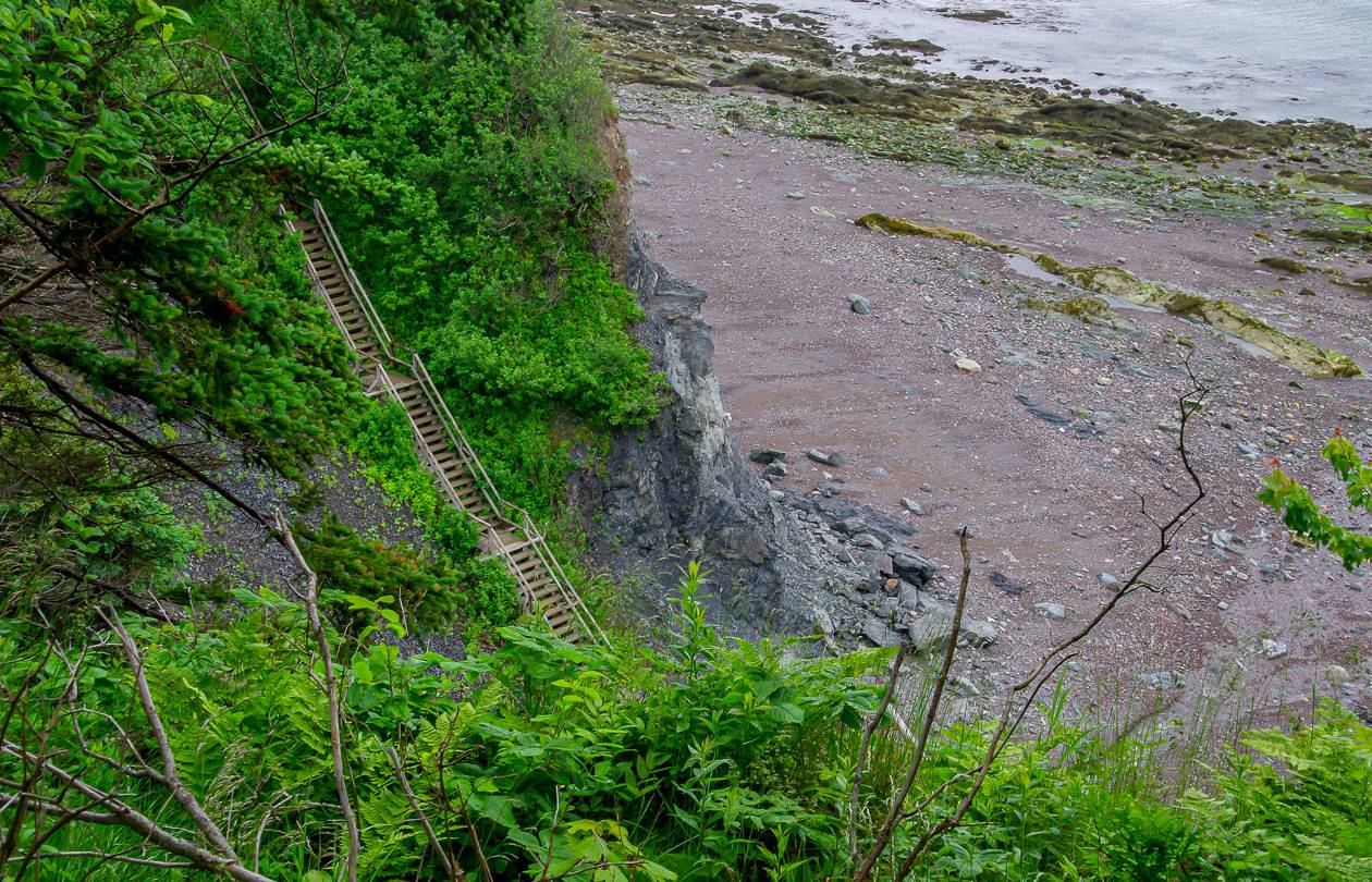 A steep set of stairs you'll be either going up or coming down