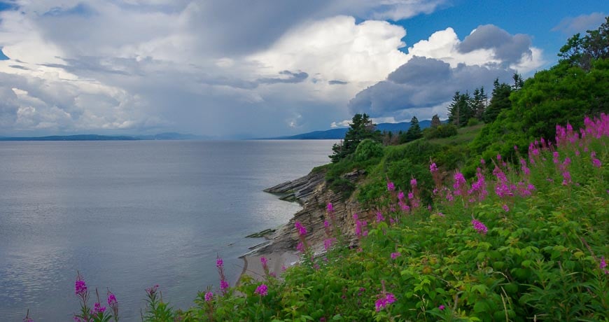 Wildflowers and pebble coves make for pleasing scenery in Forillon National Park