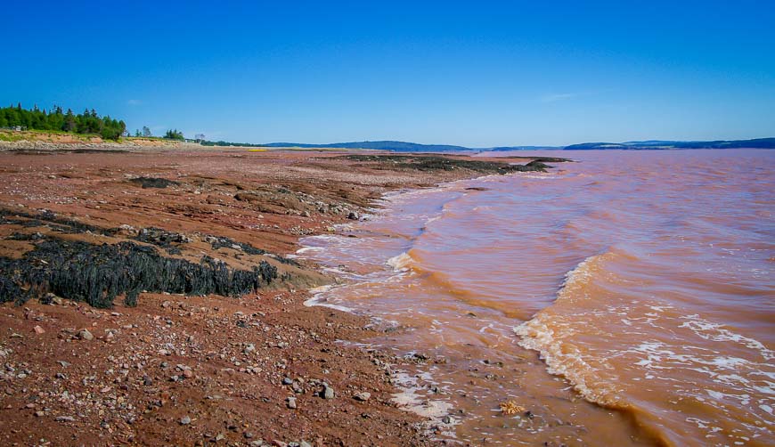 Kayaking Hopewell Rocks in water that is always muddy in this part of the Bay of Fundy