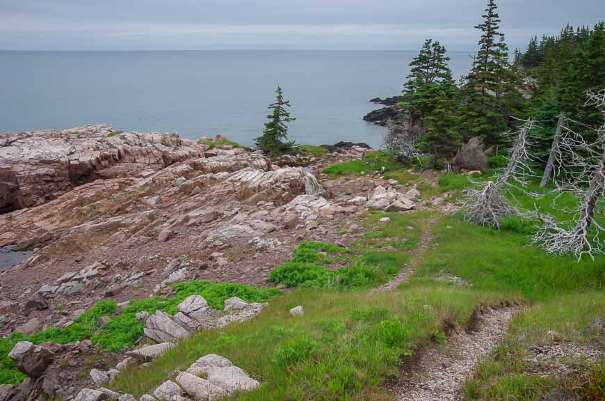 Really lovely cliff-top walking