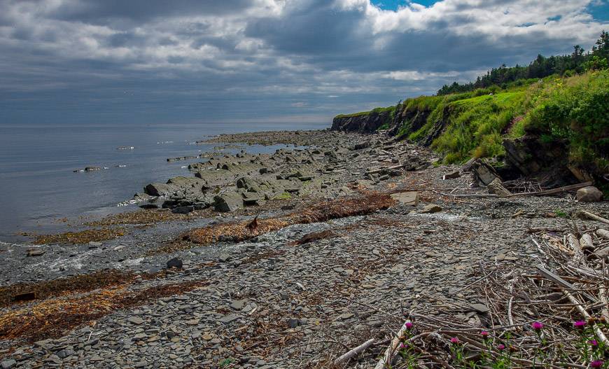 Lots of wood strewn on beaches around the Gaspe Peninsula suggests stormy day