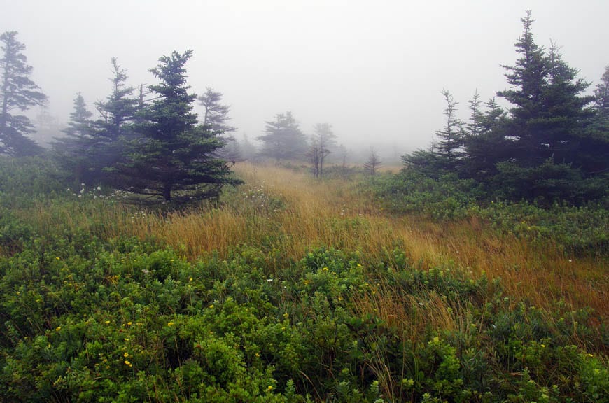  Beautiful hiking trails around the Southwest Head Lighthouse