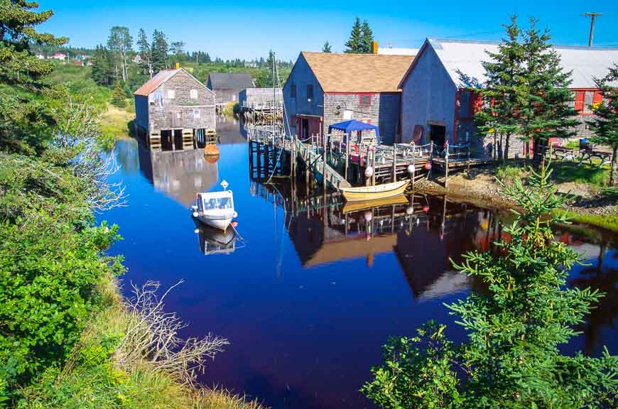 View out the back door of my cabin in Seal Cove