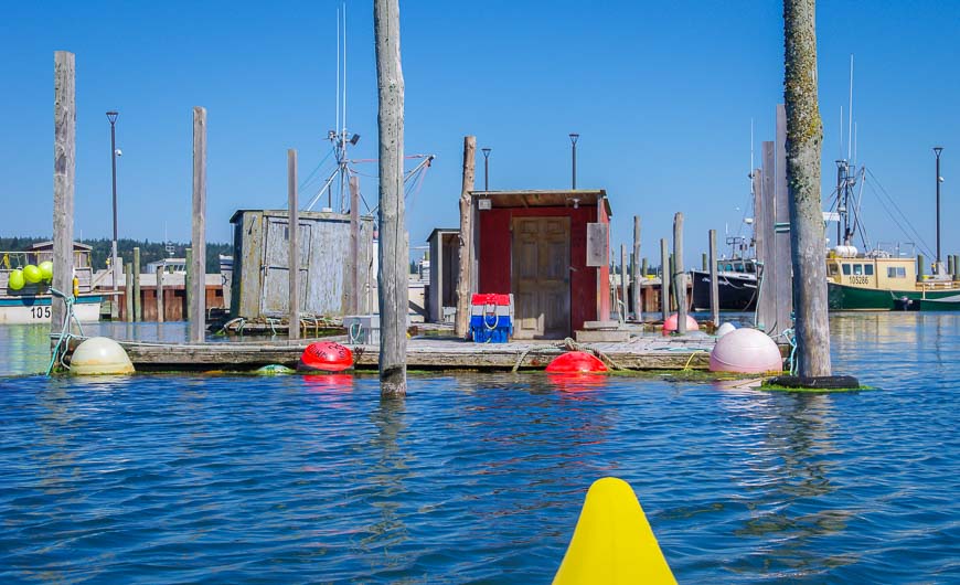 Checking out the floating fishing dock