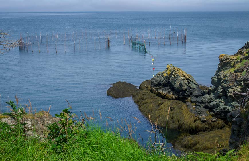 A fishing weir