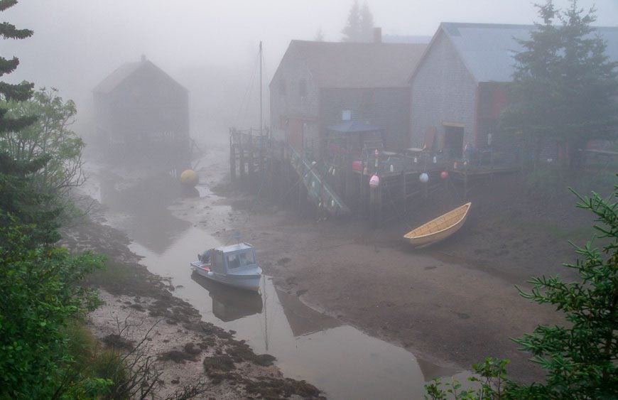 The view out my back door on the second day at low tide