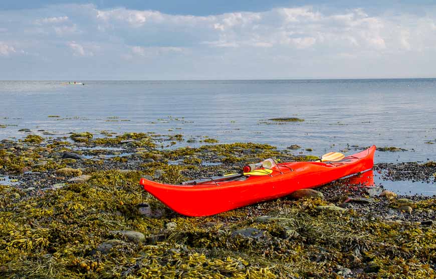 A perfect evening to go kayaking with whales