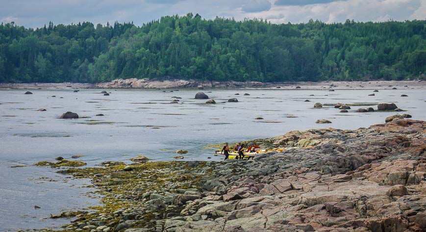 Lifting the kayaks up is physically the hardest part of a whale watching tour