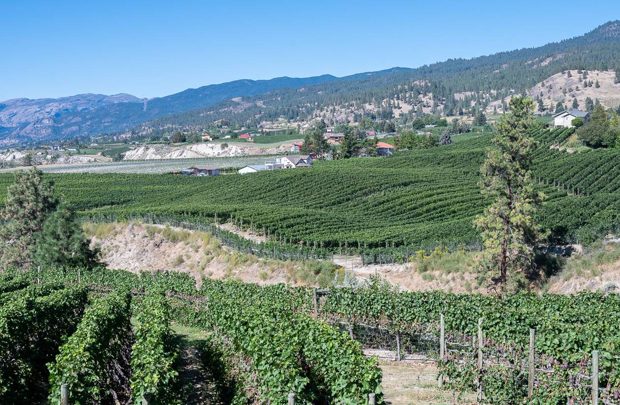 Views across the vineyards from the Kettle Valley Railway near Penticton