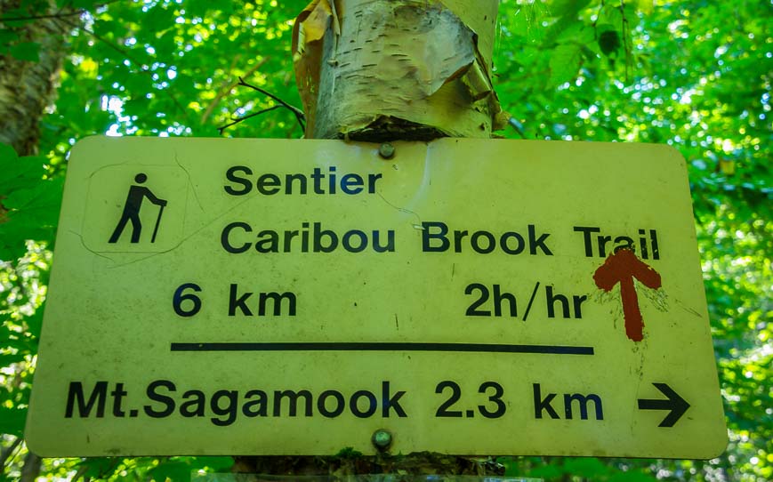 Occasional signs for Sagamook pointing the way