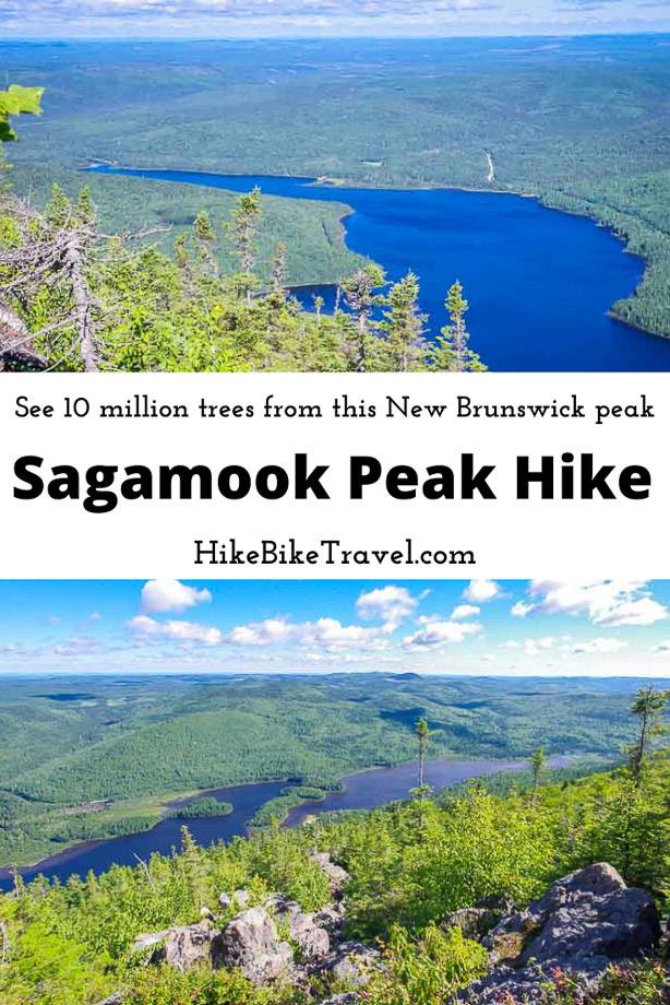 See 10 million trees on the hike up Sagamook Peak in Mount Carleton Provincial Park, New Brunswick