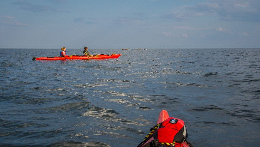 On a Quebec road trip stop for a whale watching tour