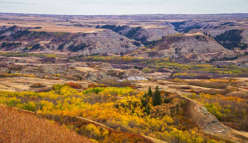 A palette of colours in Dry Island Provincial Park