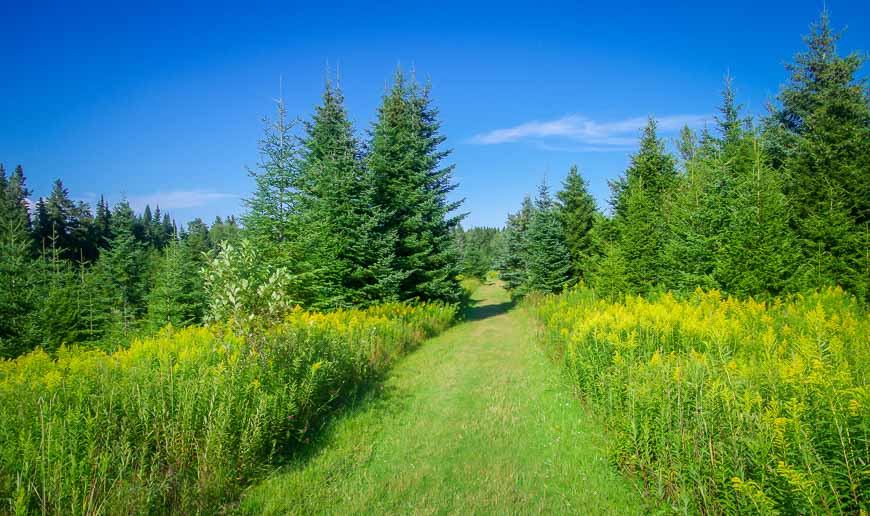 7 Things To Do In Fundy National Park New Brunswick Hike Bike Travel