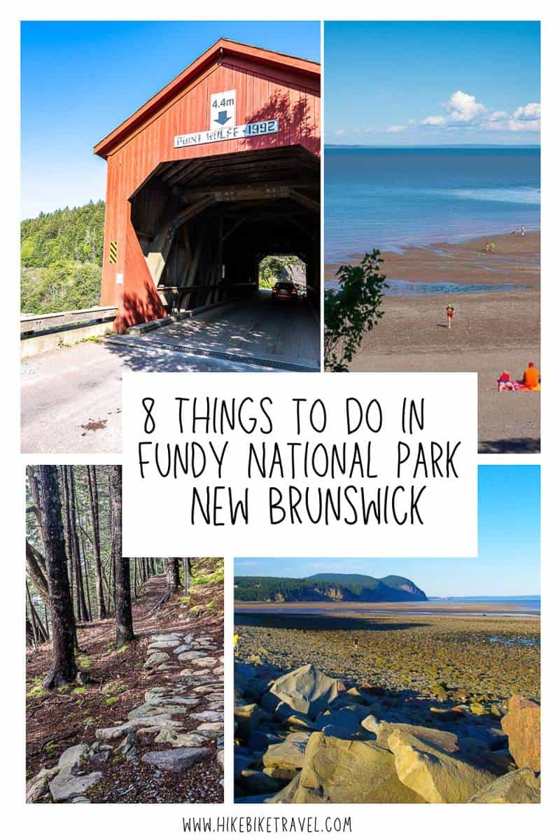 The wondrous views from Fundy National Park in Alma New Brunswick