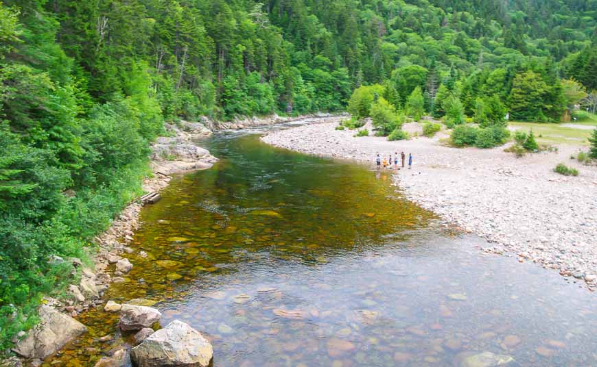 Gran río de salmones en el Fundy Trail Parkway de Nueva Brunswick