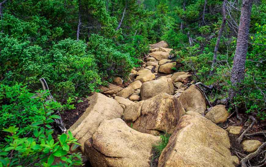 Ankle breaking, knee twisting boulders for what felt like kilometres