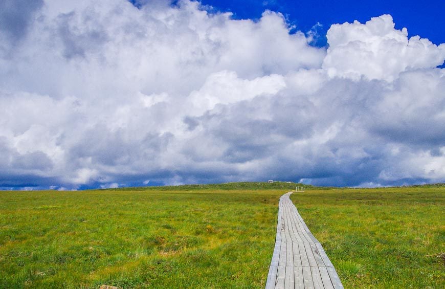 Boardwalks traverse soggy ground on Mont Albert