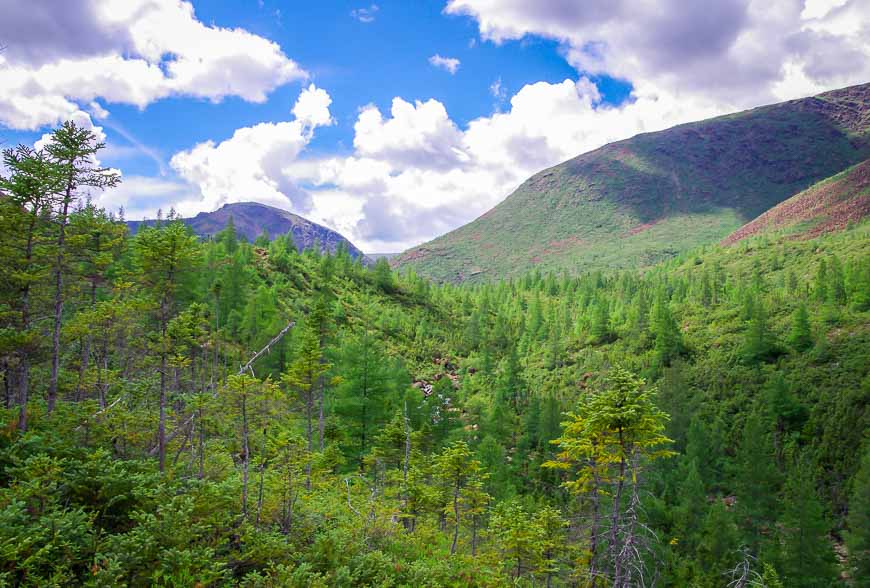 Hiking to the Summit of Le Mont Albert in Quebec - Hike Bike Travel