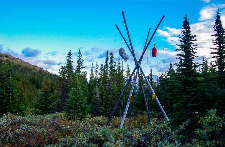 Hanging our food with the help of bear proof poles