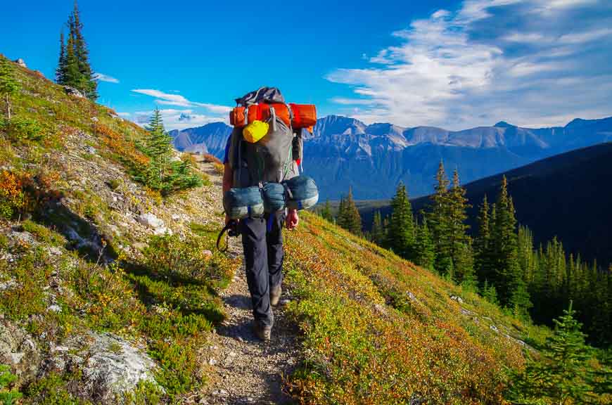 Contouring around Tekarra Mountain on the last day of the Skyline Trail hike