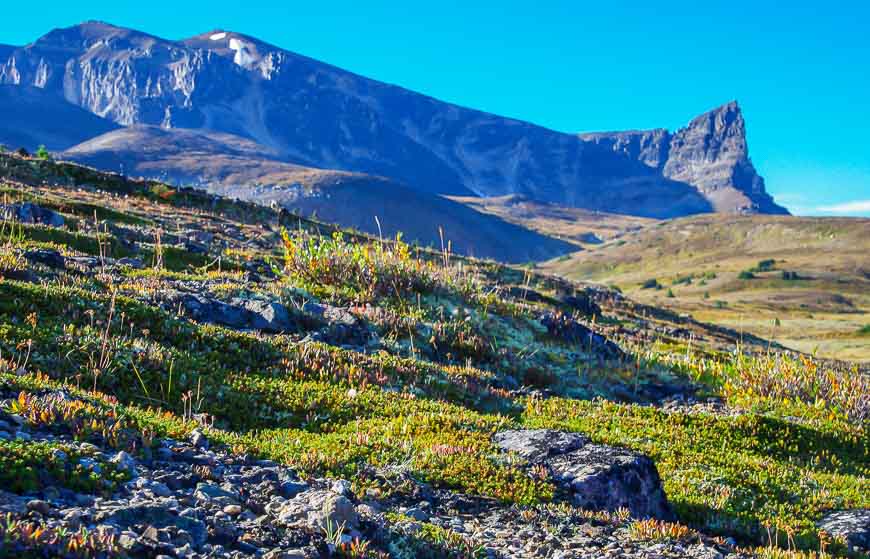 Hiking in this landscape is phenomenal