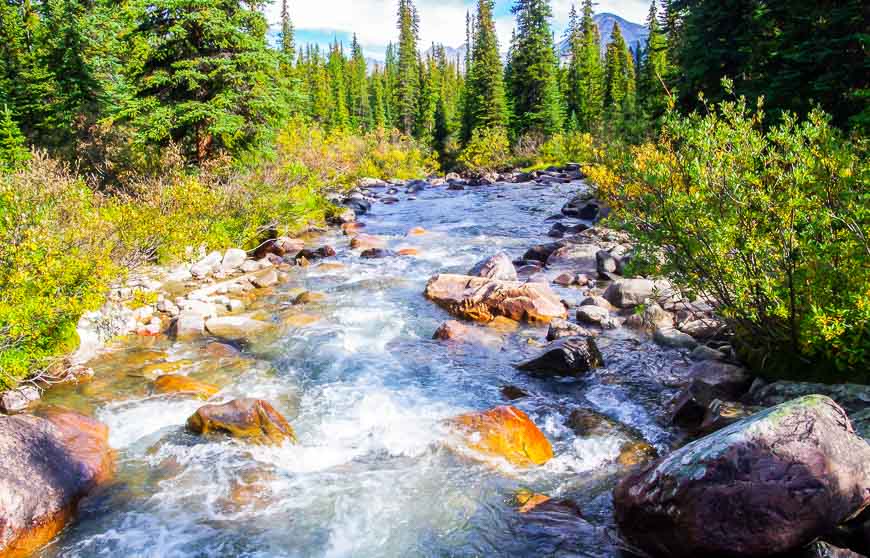 Evelyn Creek adjacent to Evelyn Creek Campground