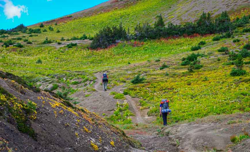 Colour in the hills by the 2nd week of September on the Skyline Trail