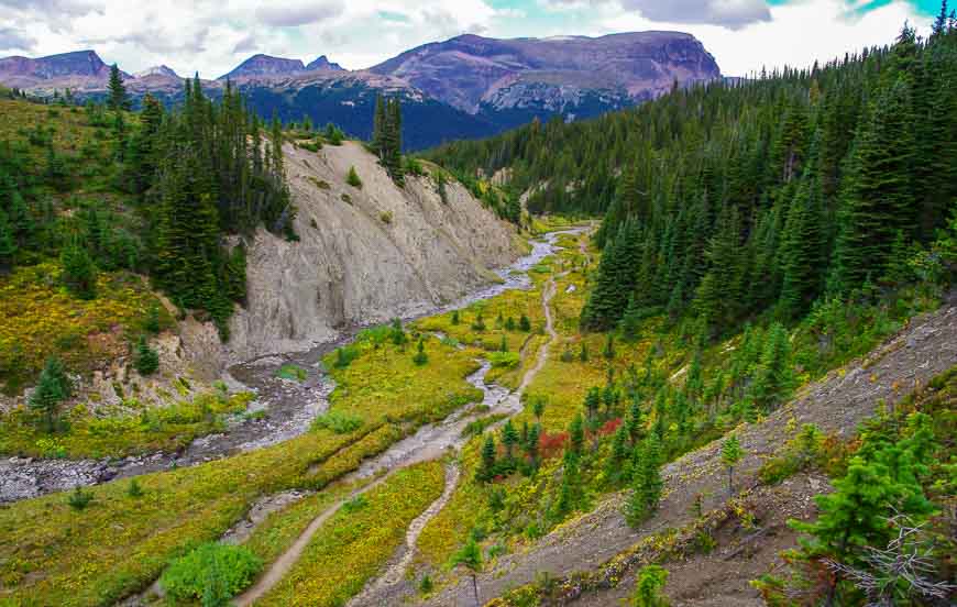 On the way to Snowbowl Campground on the Skyline Trail hike