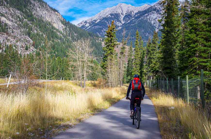 Beautiful section of trail near the intersection of Highway 1A