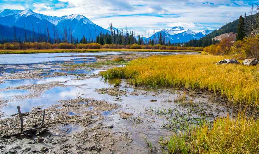 Views near Vermilion Lakes