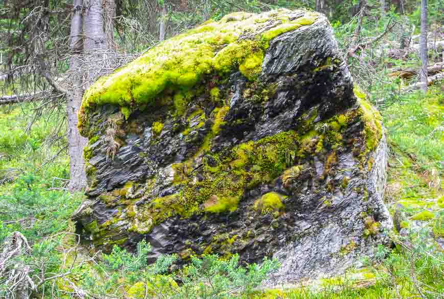 Massive boulder along the trail