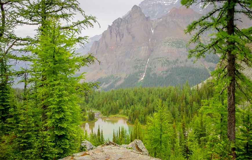 Looking down on Schaffer Lake