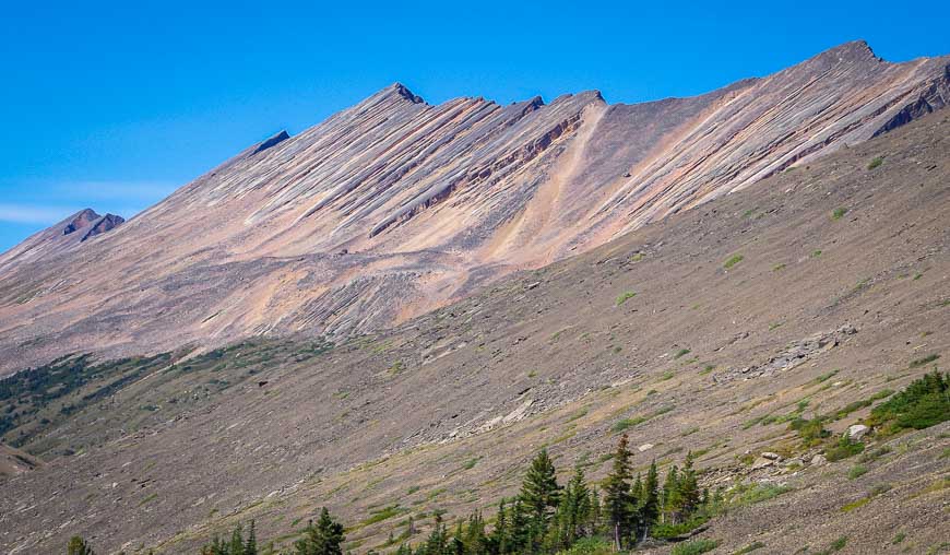 Layered rock detail in some of the mountains you see on the Nigel Pass hike