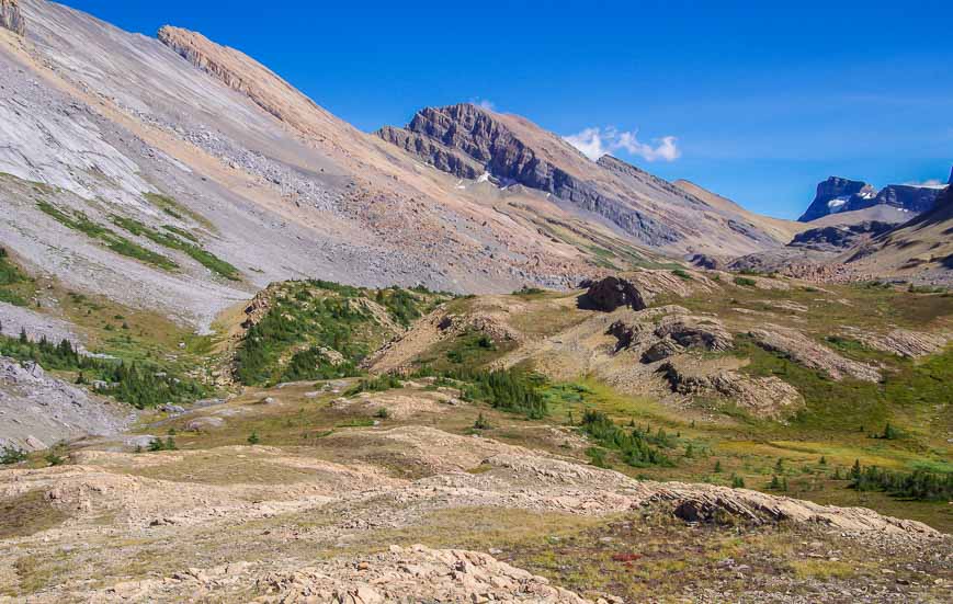 The barrens of the pass area