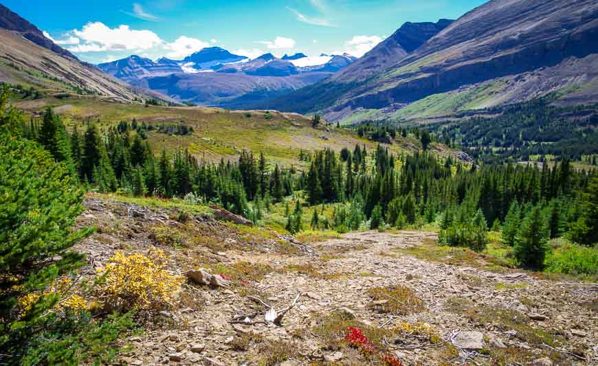 View from near the top of the pass