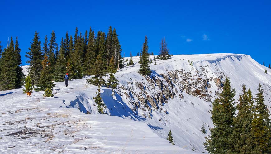 Stay back from the cornice