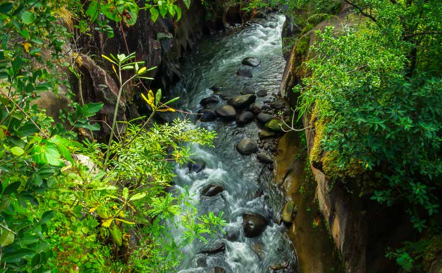 The Grand Canyon of Costa Rica is how our guide described this canyon seen on the way into the park