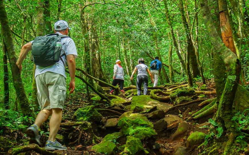 Near the start of the Rincon de la Vieja hike; I always watched where I put my hands