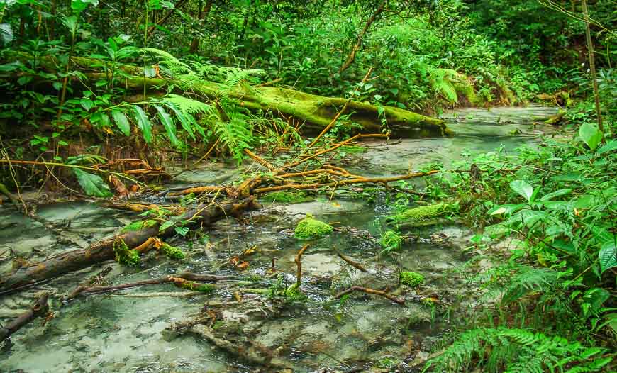 Interesting blue hue of the water in this small stream