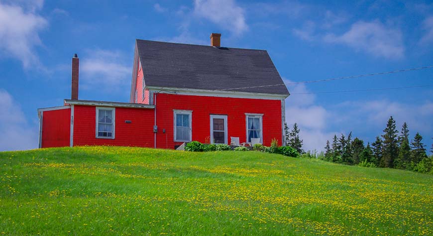 It was dandelion season when I was there