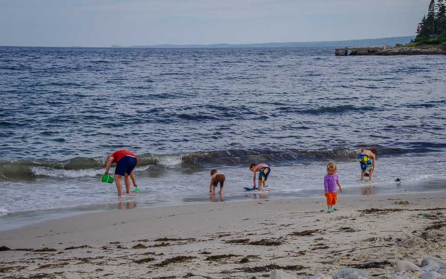 A family at a small beach near Hubbards