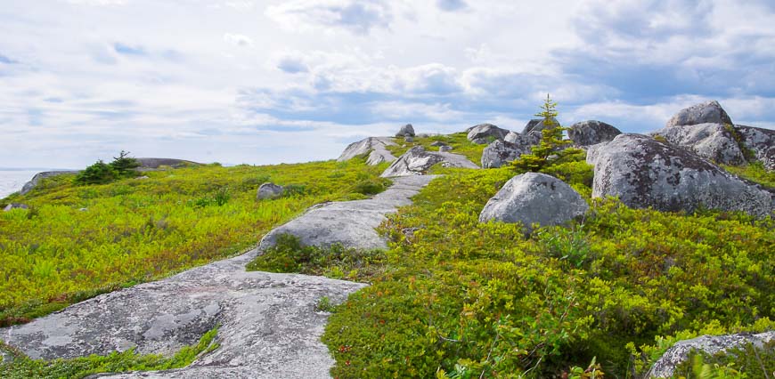 Beautiful rocks and vegetation around Peggy's Cove