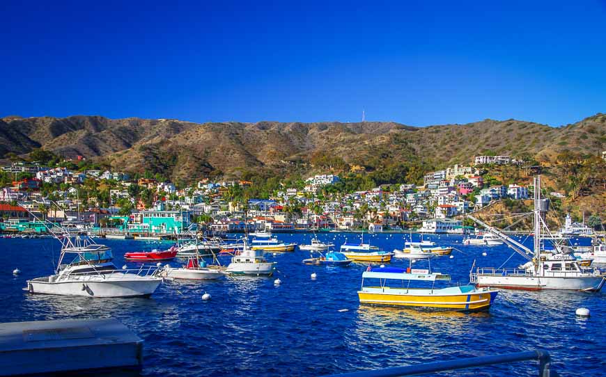 The harbor in Avalon on Catalina Island