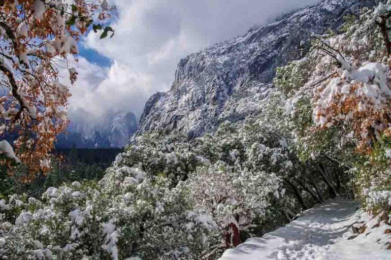 Glorious area around Lower Yosemite Falls